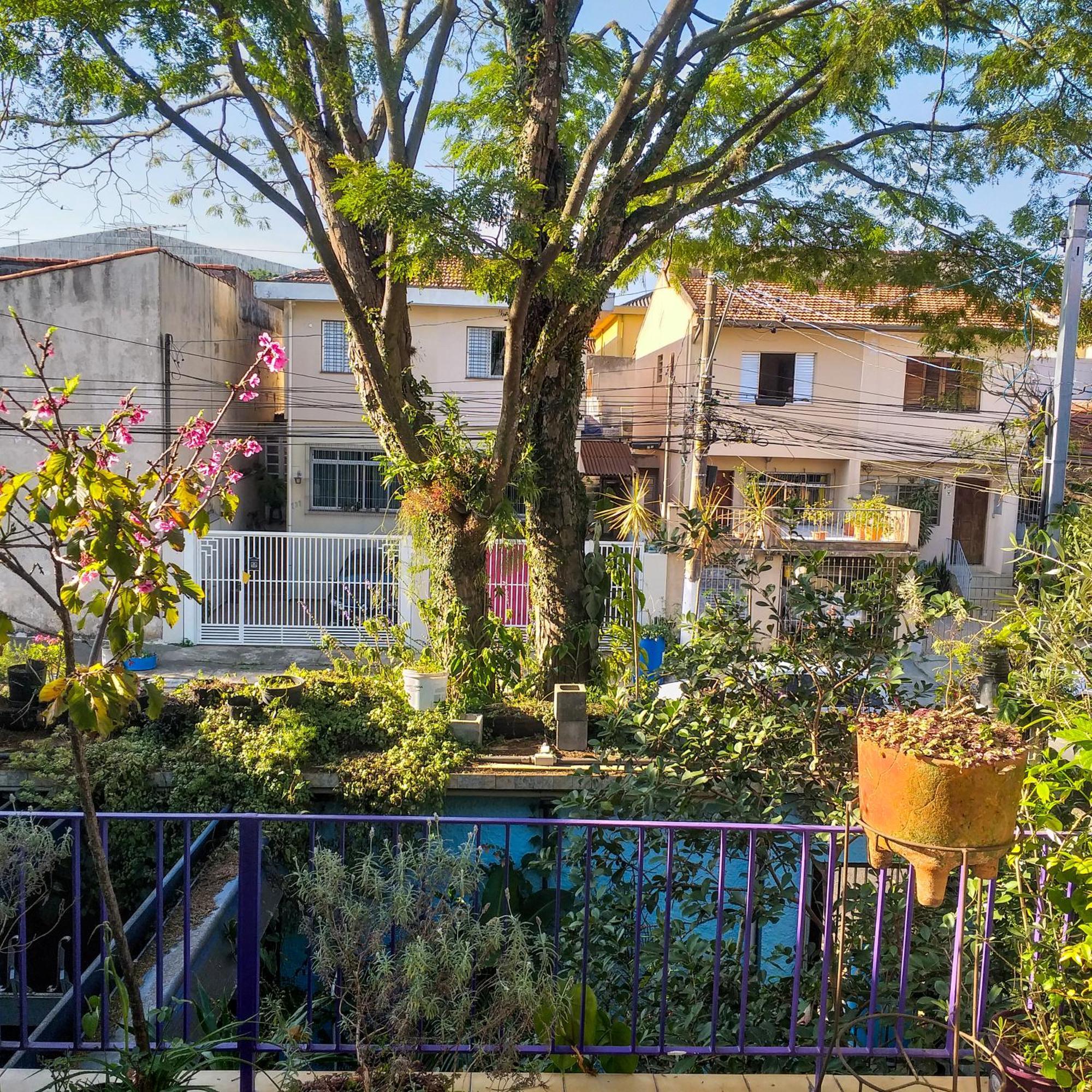 Micasa Hostel - Congonhas サンパウロ エクステリア 写真
