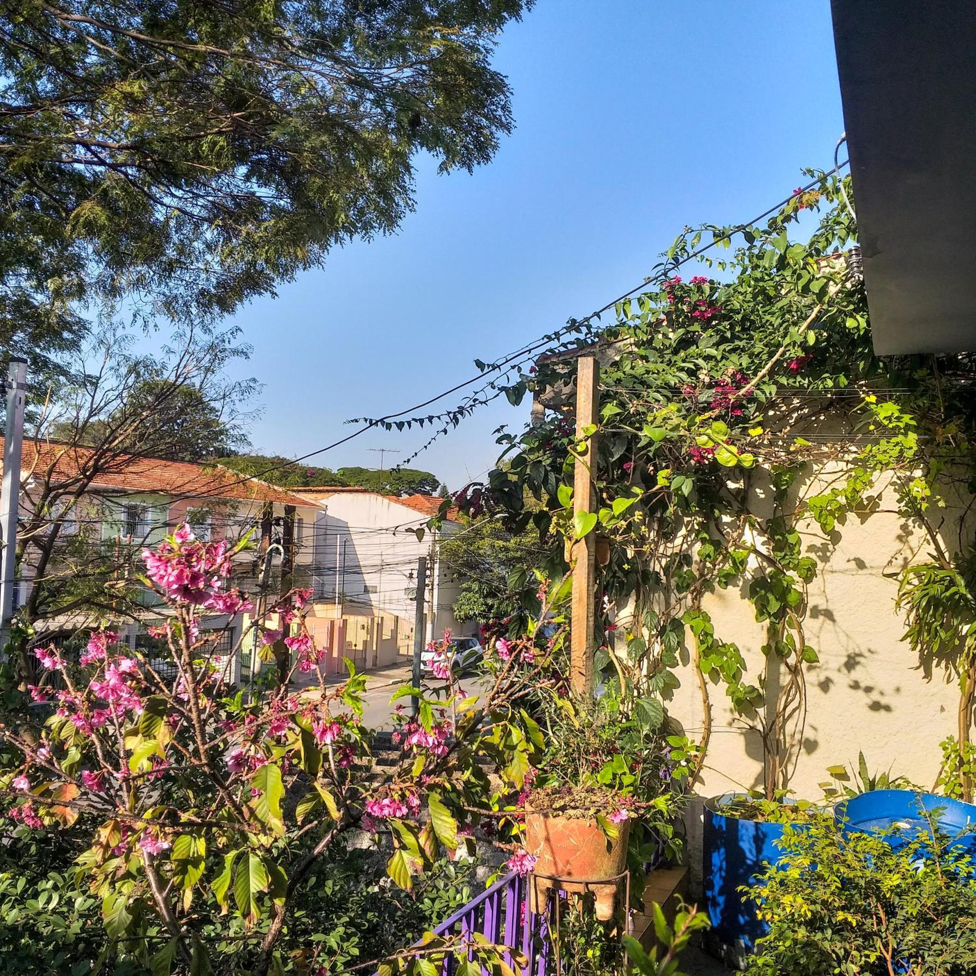 Micasa Hostel - Congonhas サンパウロ エクステリア 写真